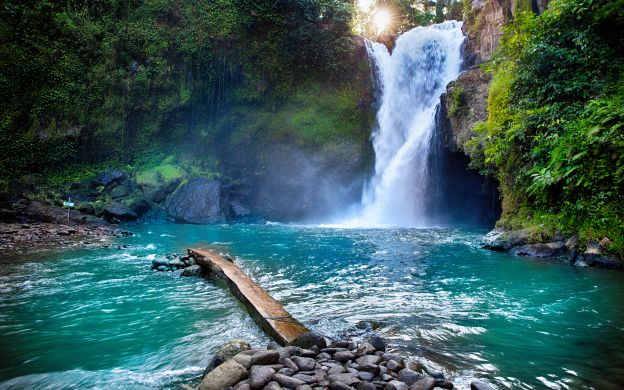 Thức ăn cho tâm hồn: Tour riêng trọn ngày ở Ubud tuyệt đẹp